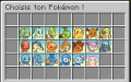 Choix du Pokémon