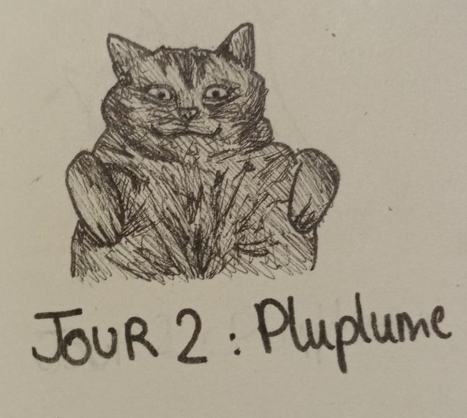 Fichier:2020-oomtober-enora-2.jpg