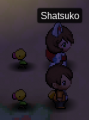 Graham, Vyliftia et leurs Bellsprout dans PRO.