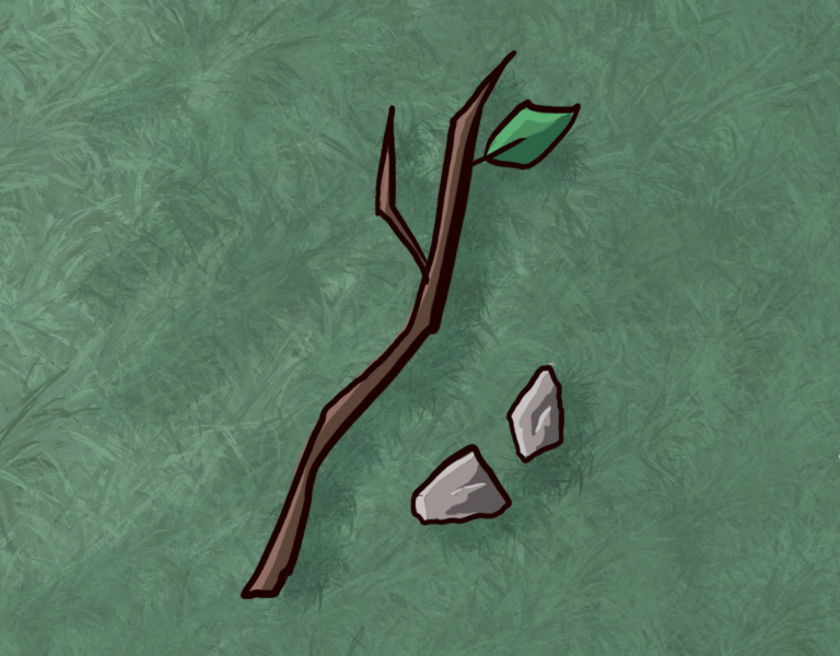 Fichier:2023-oomtober-hevea-30.png